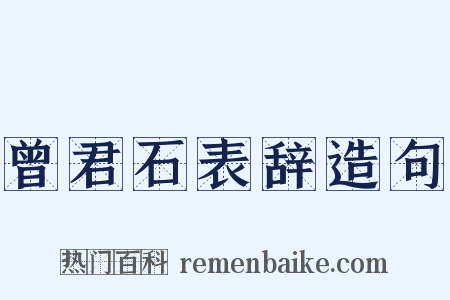 曾君石表辞造句是什么意思的图片